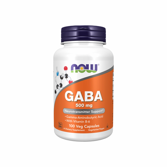 NOW Foods GABA 500 mg